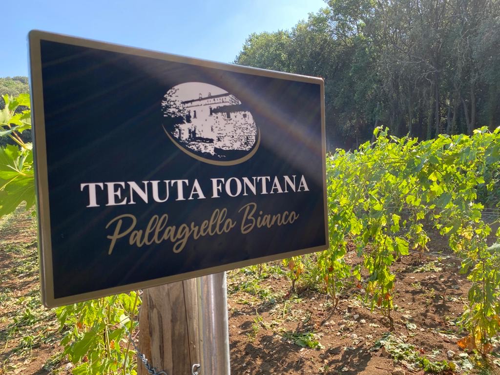 Tenuta Fontana