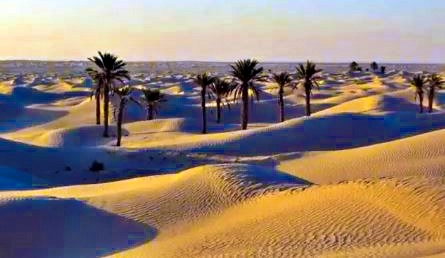 Tunisia oasi nel deserto
