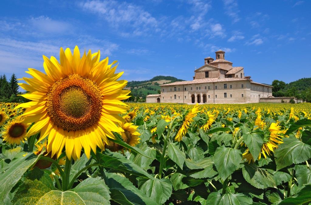 Urbania_Barco Ducale