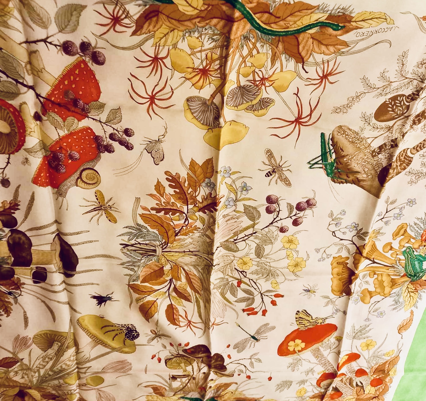 V. Accornero - Gucci, Funghi, 1967 (part.2)