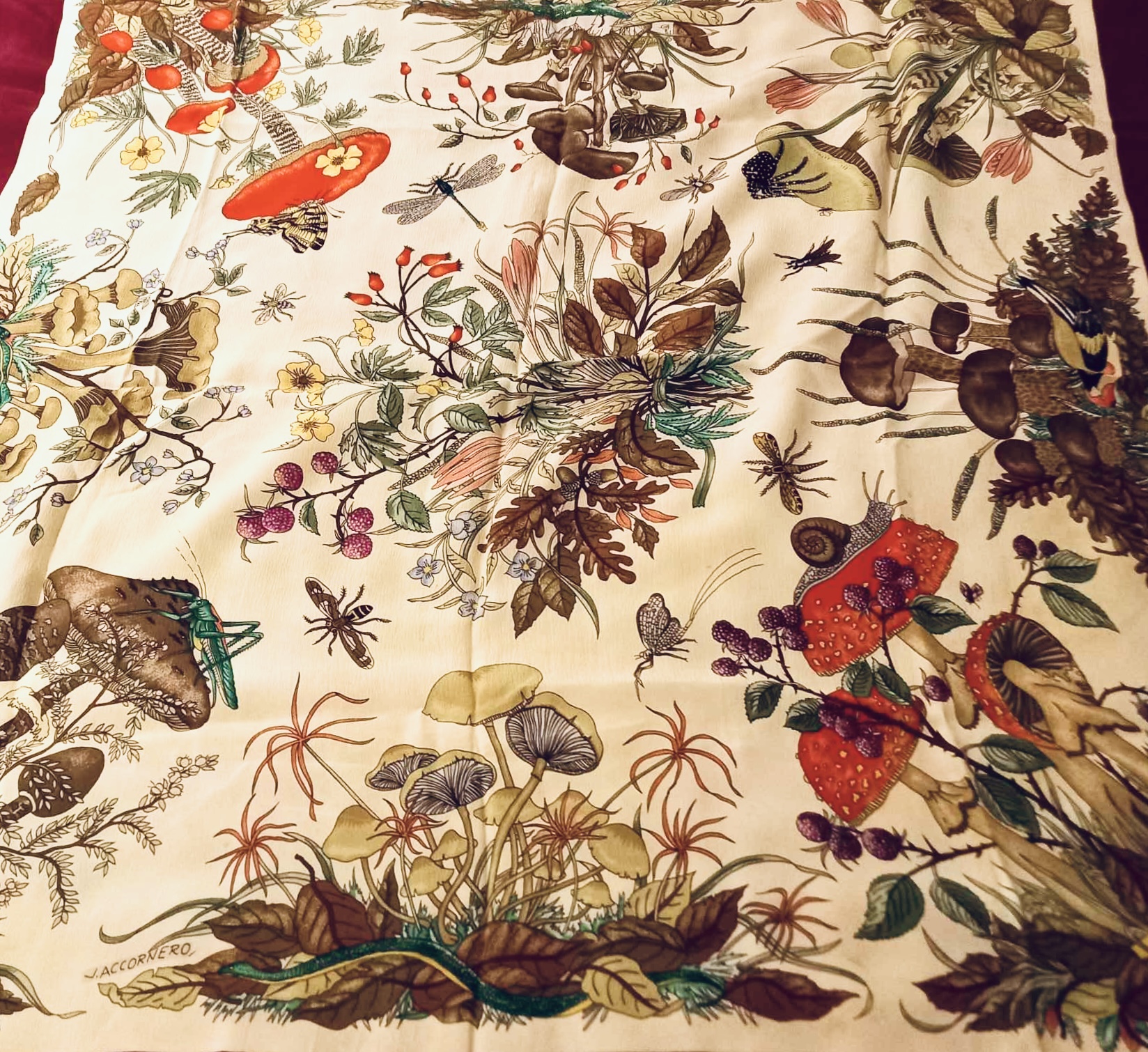 V. Accornero - Gucci, Funghi, 1967 (part)