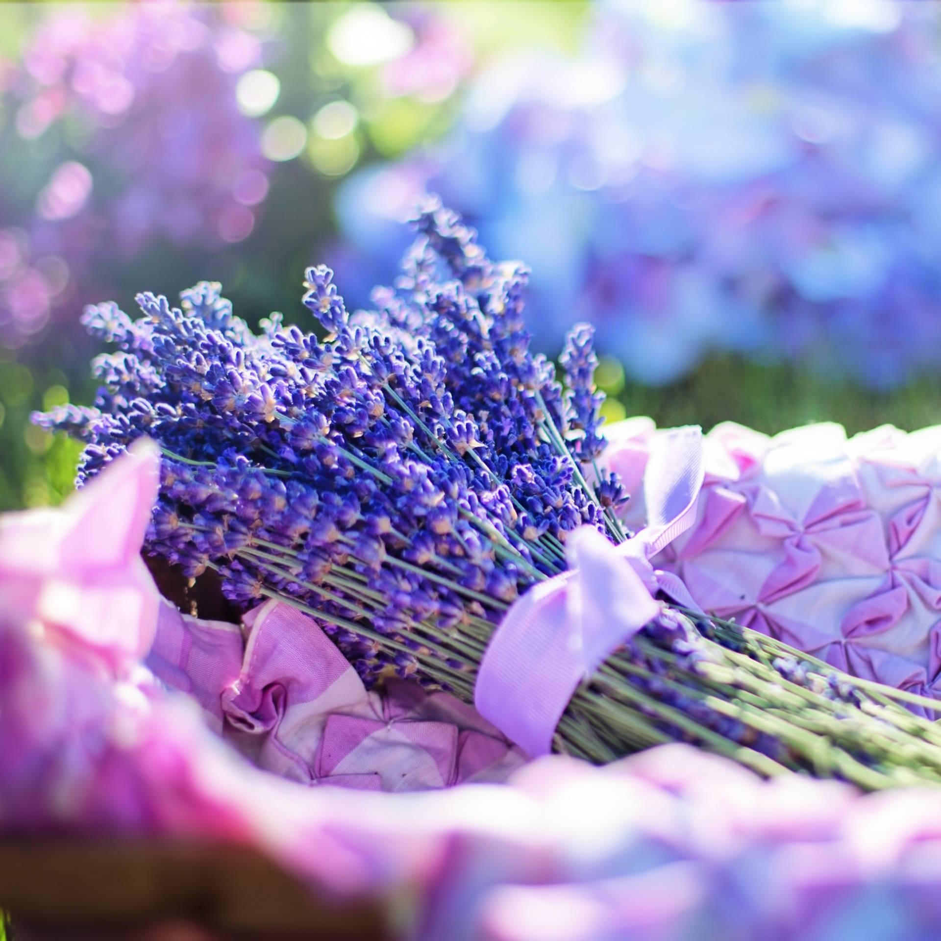Vertemate, lavanda