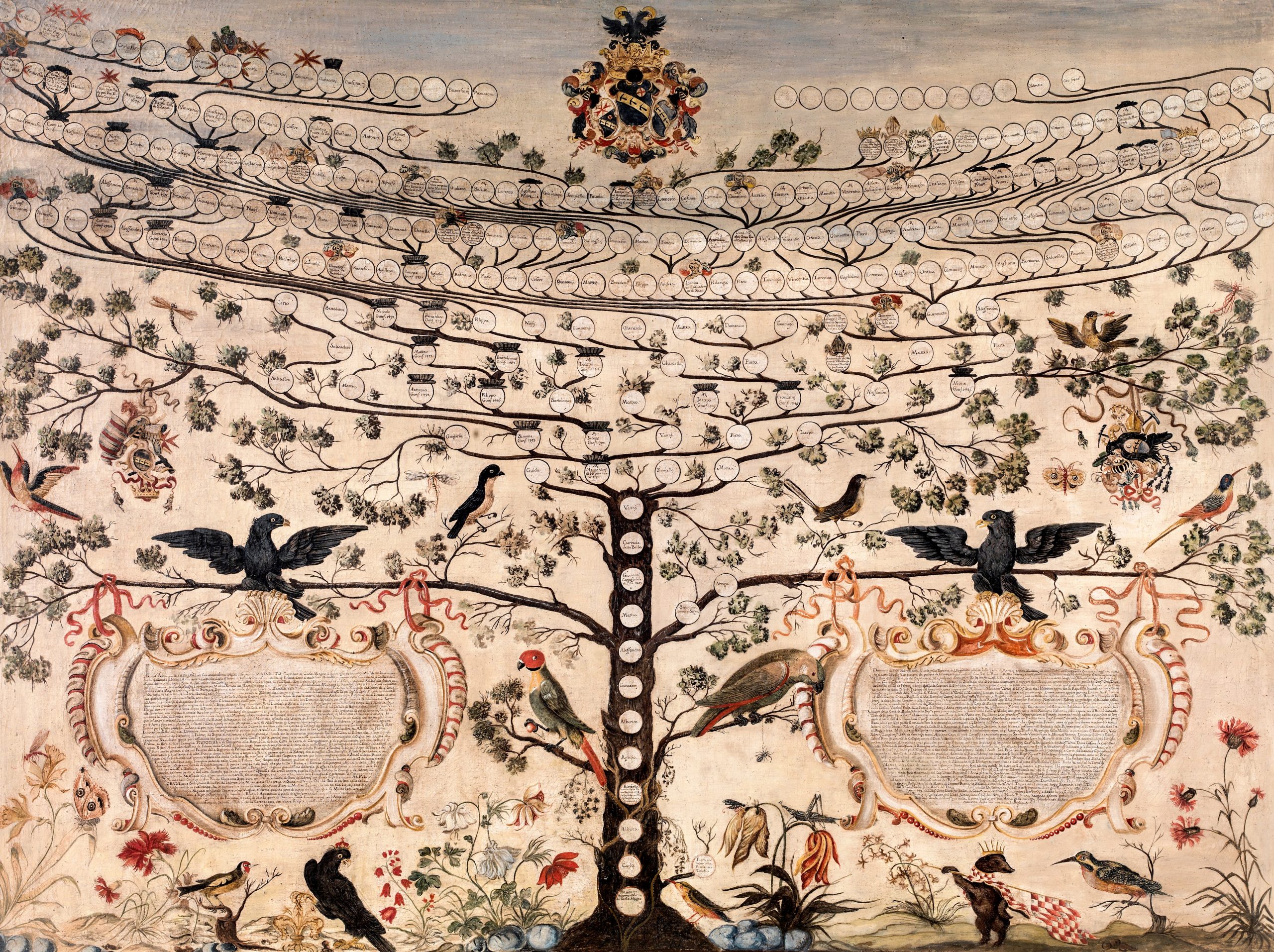 Albero genealogico della famiglia Fabroni, olio su tela, sec. XVII
