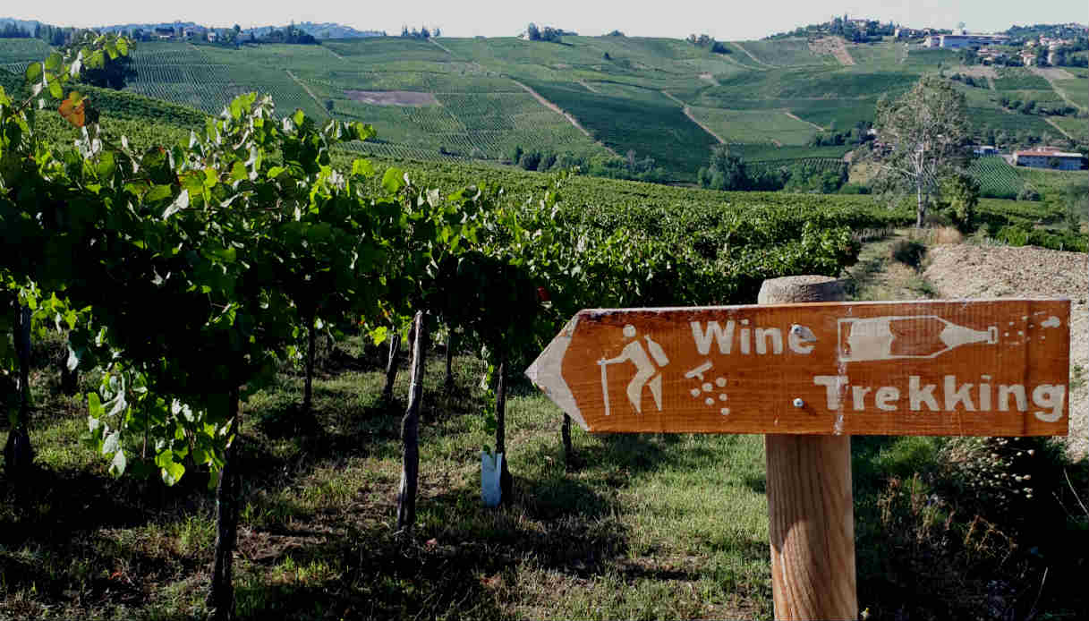 Cinelli Colombini Wine Trekking.jpg