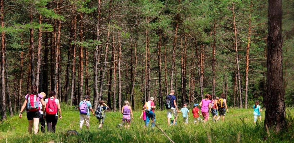 Ledro Land Art Touring Club Italiano