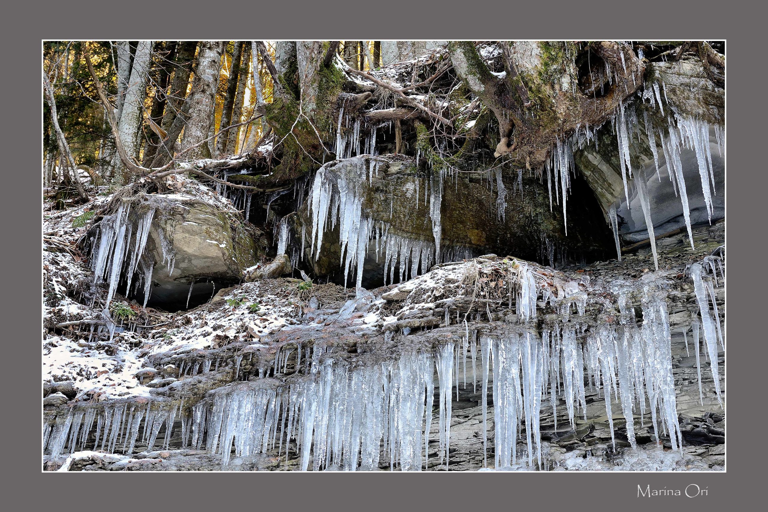 Opera Ori le forme dell'acqua