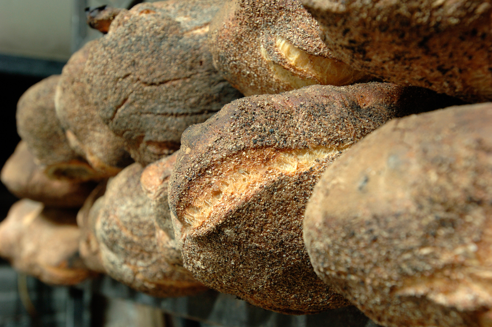 Il pane casareccio IGP di Genzano di Roma - foto Shutterstock