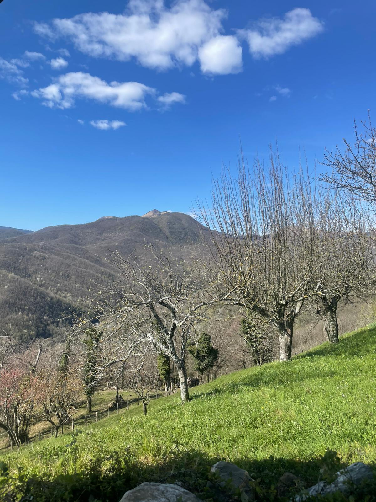 Biolonga Varese Ligure
